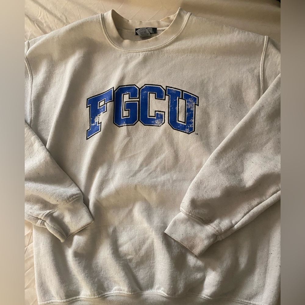 florida gulf coast hoodie
